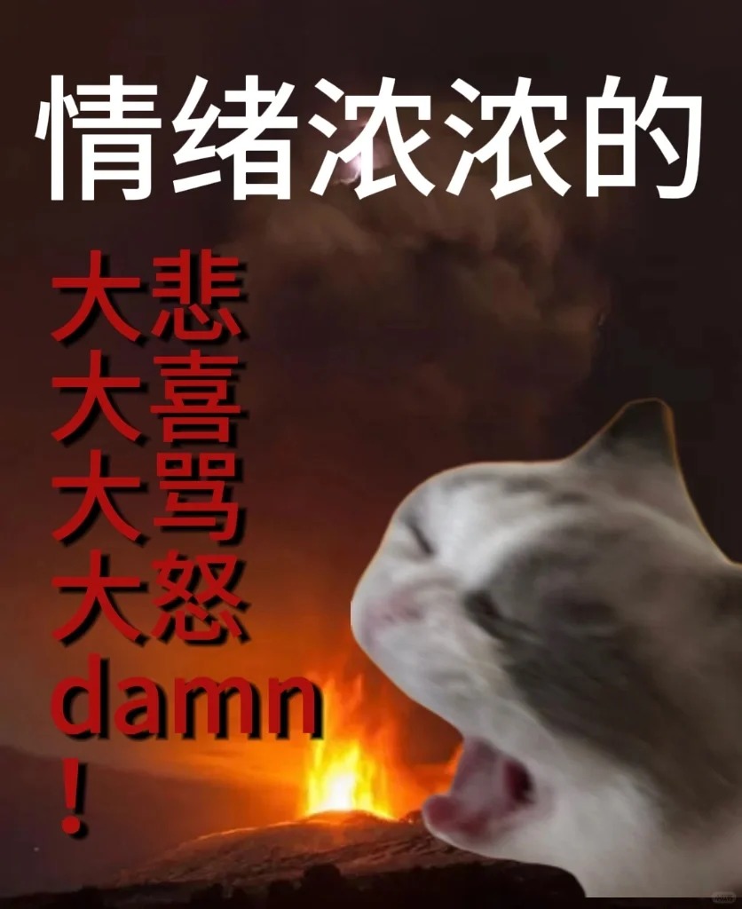 正式确证为浓人_1_神金小猫_来自小红书网页版.jpg