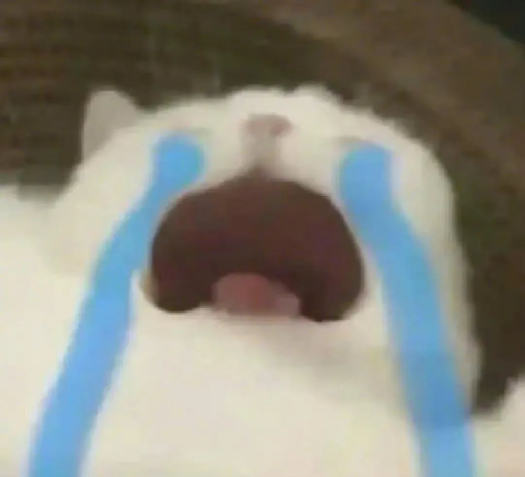 640.jpg
